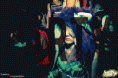 /album/fotogaleria/qqqqqqqq-gif/